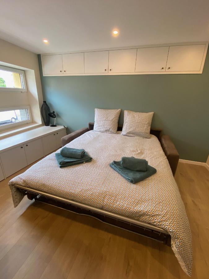Le Cocon Strasbourgeois Apartment Екстериор снимка